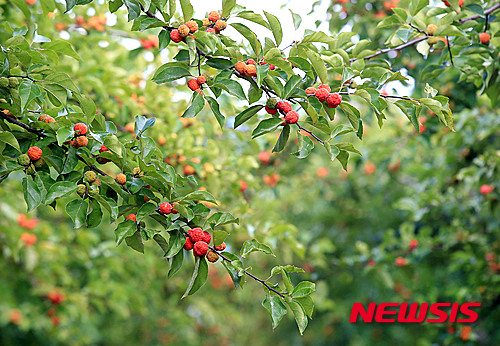 사진=뉴시스 제공.