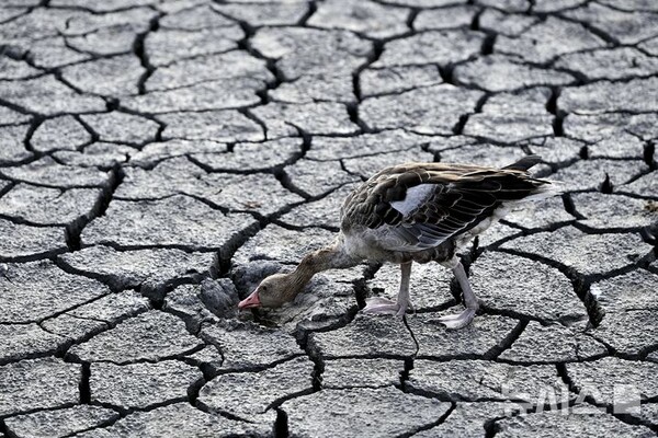 사진=뉴시스 제공.