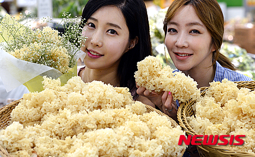 사진=뉴시스 제공.