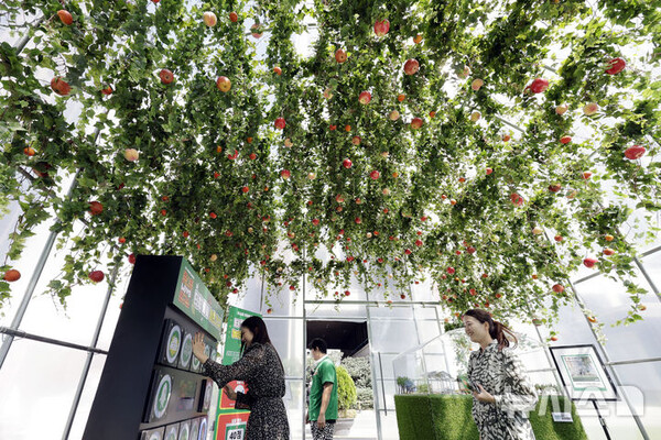 사진=뉴시스 제공.