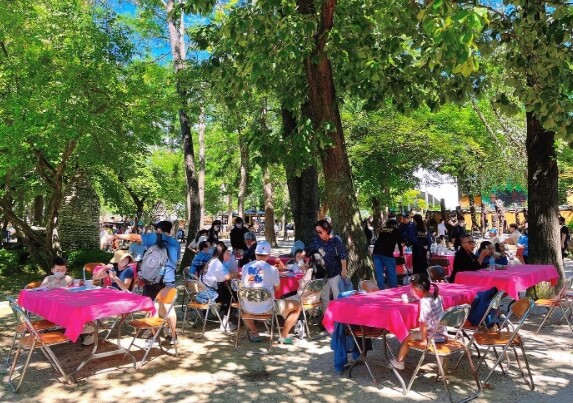 사진=남이섬 제공.