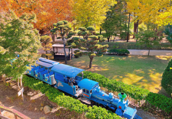 사진=남이섬 제공.