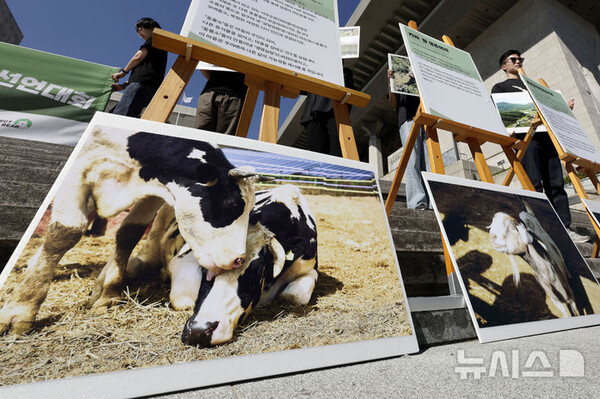 사진=뉴시스 제공.