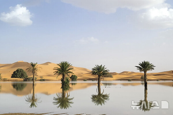 사진=뉴시스 제공.