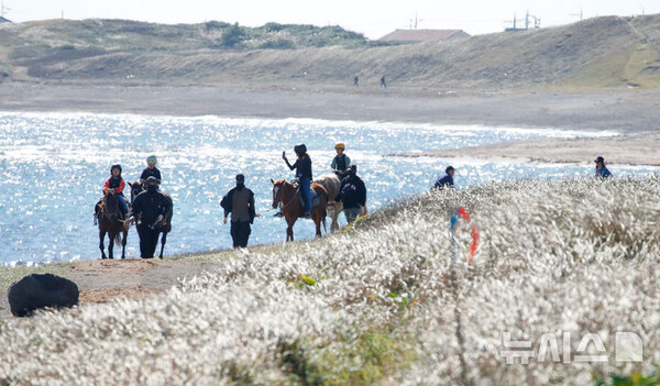 사진=뉴시스 제공.