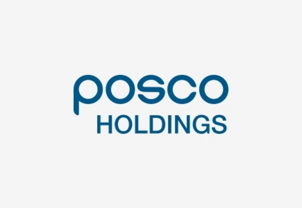 포스코 홀딩스(Posco Holdings)