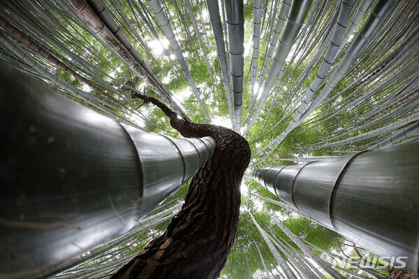 사진=뉴시스 제공.