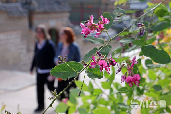 사진=뉴시스 제공.