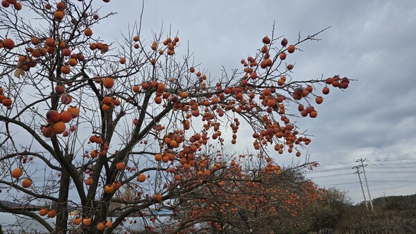 사진=뉴시스 제공.