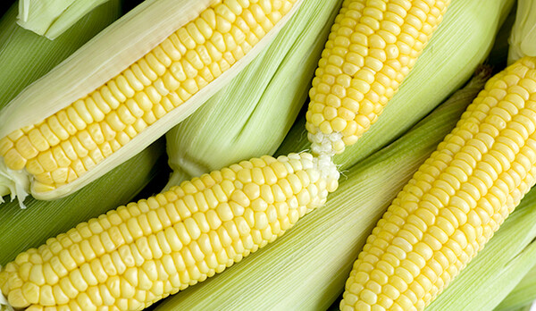 사진=뉴시스 제공.