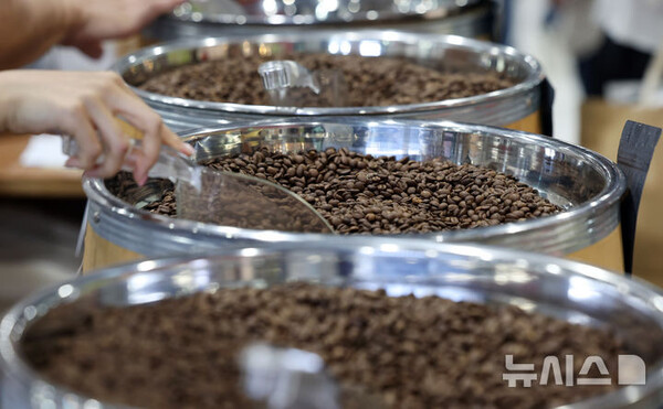 사진=뉴시스 제공.