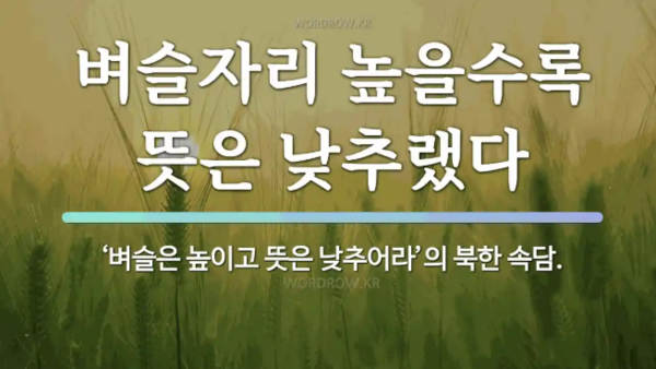 사진=뉴시스 제공.