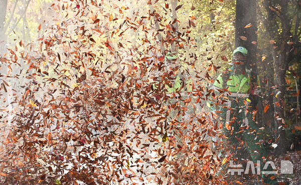 사진=뉴시스 제공.