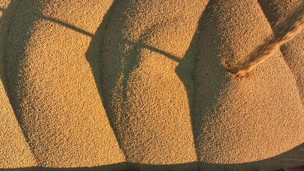 사진=뉴시스 제공.