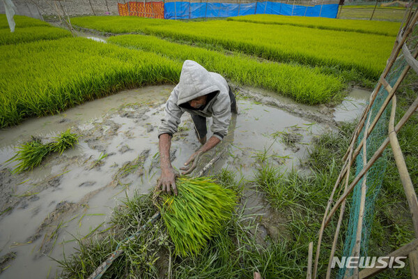사진=뉴시스 제공.