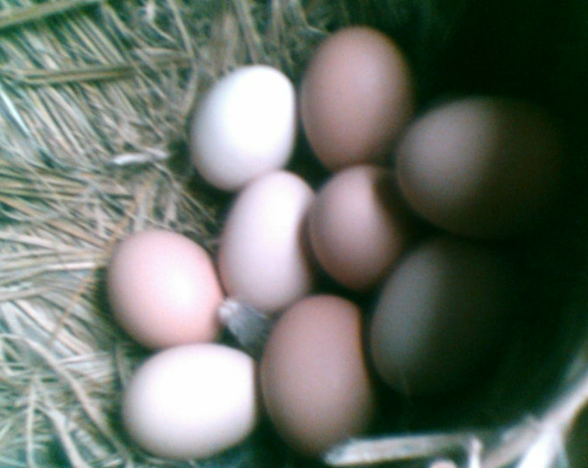 사진=뉴시스 제공.