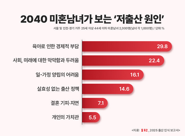 2040 미혼남녀가 보는 저출산 원인 / 자료=듀오 제공