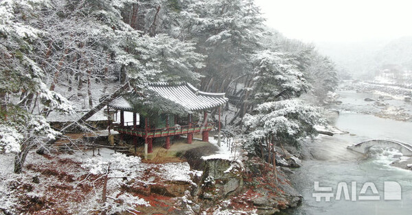 사진=뉴시스 제공.