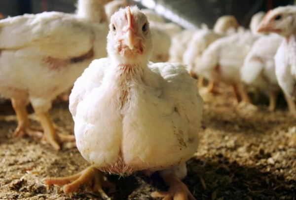 사진=뉴시스 제공.