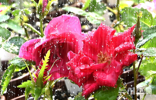 사진=뉴시스 제공.