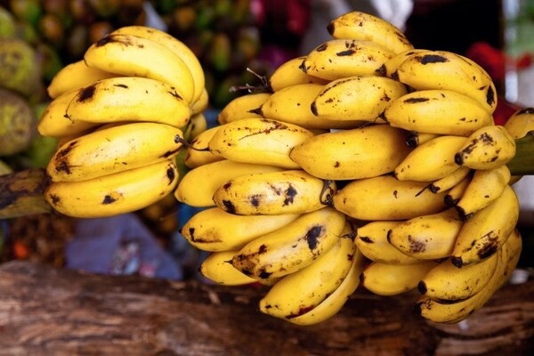 사진=뉴시스 제공.