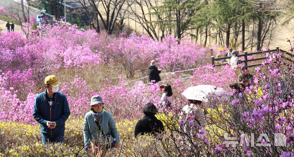 사진=뉴시스 제공.