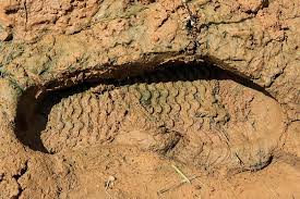 사진=뉴시스 제공.