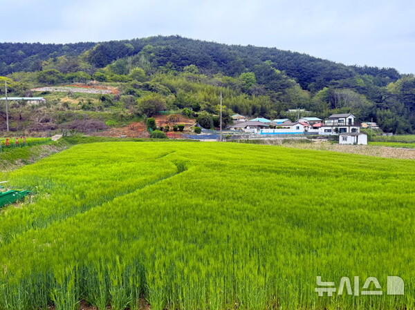 사진=뉴시스 제공.