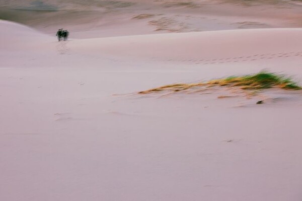 사진=뉴시스 제공.