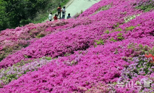 사진=뉴시스 제공.