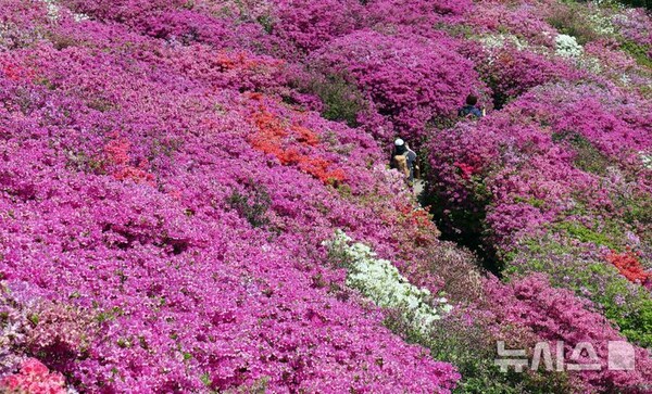 사진=뉴시스 제공.