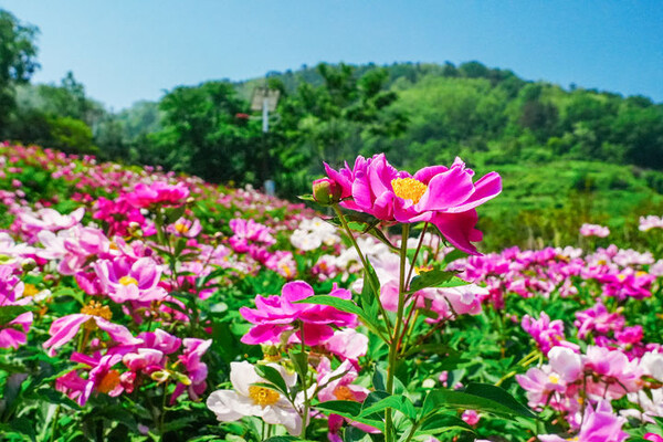 사진=뉴시스 제공.