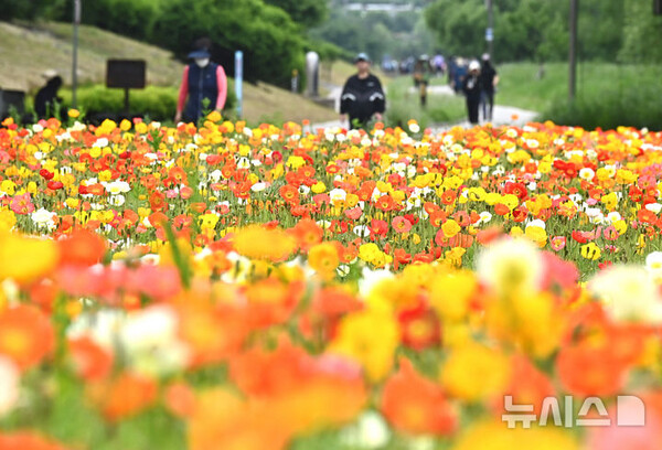 사진=뉴시스 제공.