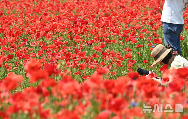 사진=뉴시스 제공.