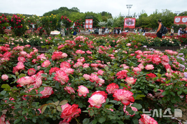 사진=뉴시스 제공.