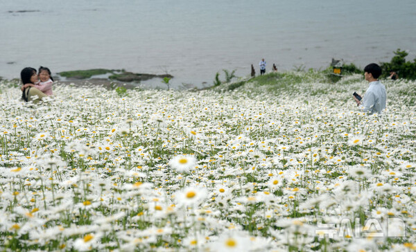 사진=뉴시스 제공.