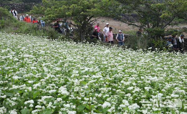 사진=뉴시스 제공.