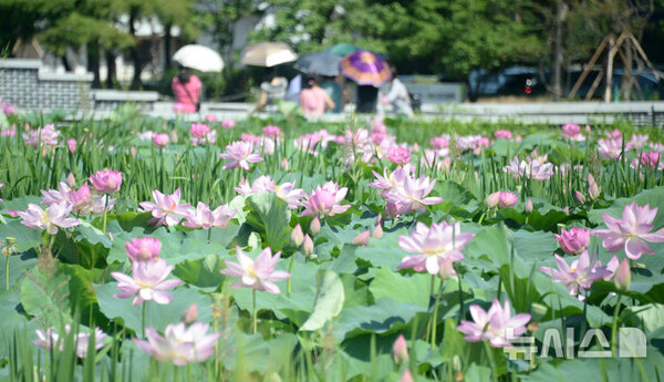 사진=뉴시스 제공.