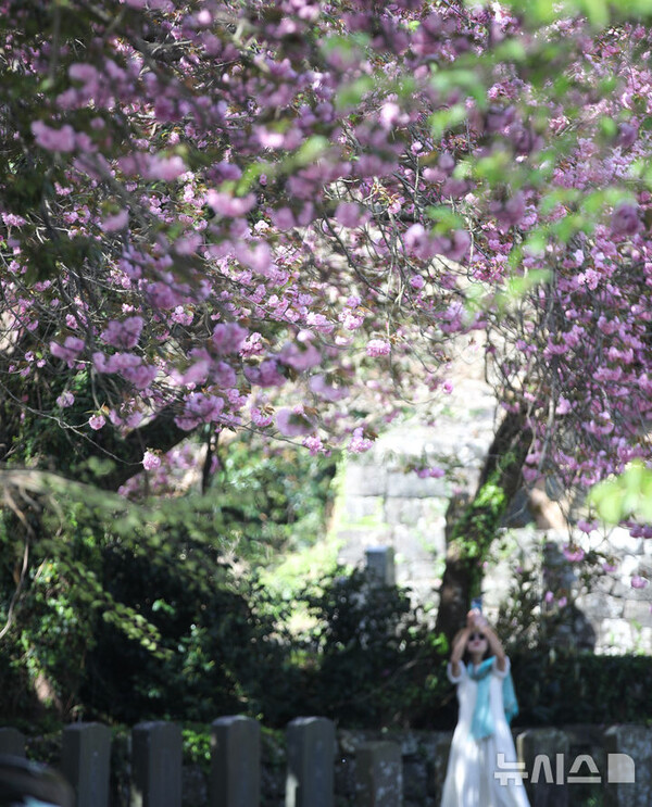 사진=뉴시스 제공.