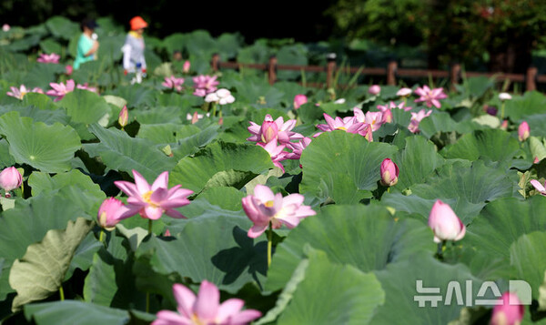 사진=뉴시스 제공.