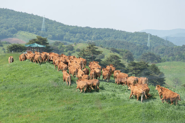 사진=뉴시스 제공.