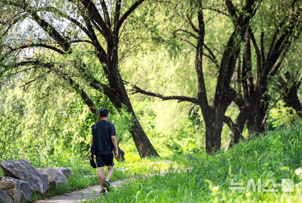 사진=뉴시스 제공.