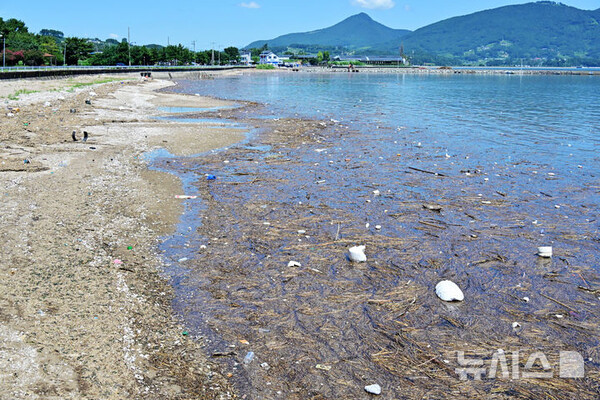 사진=뉴시스 제공.