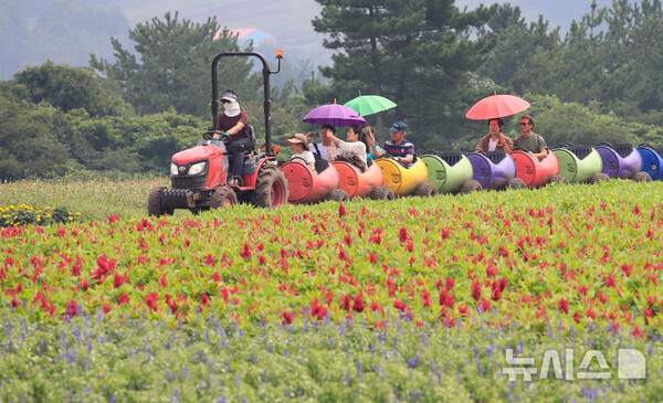 사진=뉴시스 제공.