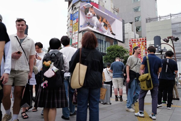 사진=뉴시스 제공.