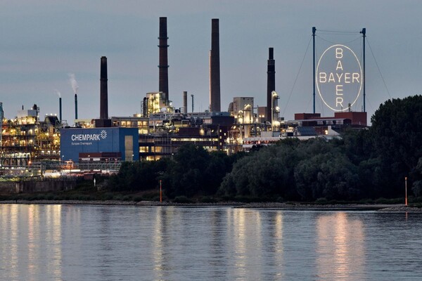 사진=뉴시스 제공.