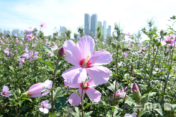 사진=뉴시스 제공.