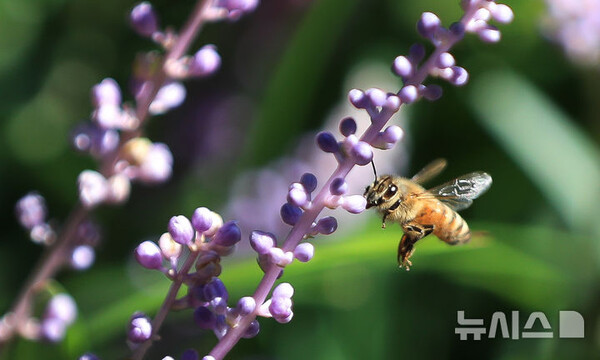 사진=뉴시스 제공.