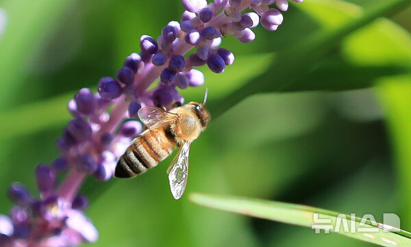 사진=뉴시스 제공.