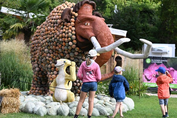 사진=뉴시스 제공.